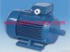 Y series three phase electric motor