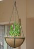 Hanging Basket