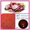 Red Yeast Rice