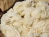 Sheep wool from Georgi...
