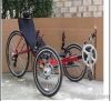 Recumbent Trike