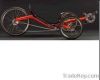 Recumbent Trike