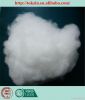 2013 Recycled polyester staple fiber