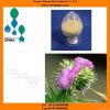 Milk thistle extract