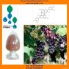 Grape extract with Proanthocyanidin