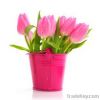 Fresh Cut Flowers &amp...