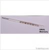 Mercury Thermometer