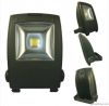 LED flood light