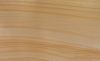 Teak Wood Sandstone