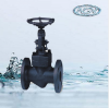 DIN/API/GB globe valves