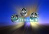 Delphi Control Valves ...