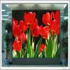 indoor SMD display