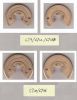 Thrust Bearings (CT-12B)