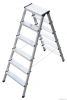 Aluminum Ladder