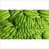 Cavendish Bananas/Fresh Gala Apples/Fresh Apricots/Fresh Avocados/Fresh Berries/Fresh Cherries/Fresh Citrus Fruit/Fresh Coconuts/Fresh Grapes/ Fresh Guava/Fresh Kiwi Fruit