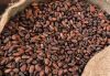 Peas/Chickpeas/Cocoa Beans/Coffee Beans/Kidney Beans/Lentils/Mung Beans/Soybeans/Vanilla Beans/Barley/Buckwheat/Corn/Millet/Oats flakes/oats flour/Rice/Rye/Sorghum/Wheat/Dehydrated Ginger dry Ginger Flakes/Pumpkin Kernels/Sunflower Kernels/Walnuts