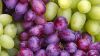 Cavendish Bananas/Fresh Gala Apples/Fresh Apricots/Fresh Avocados/Fresh Berries/Fresh Cherries/Fresh Citrus Fruit/Fresh Coconuts/Fresh Grapes/ Fresh Guava/Fresh Kiwi Fruit