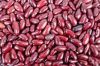 Peas/Chickpeas/Cocoa Beans/Coffee Beans/Kidney Beans/Lentils/Mung Beans/Soybeans/Vanilla Beans/Barley/Buckwheat/Corn/Millet/Oats flakes/oats flour/Rice/Rye/Sorghum/Wheat/Dehydrated Ginger dry Ginger Flakes/Pumpkin Kernels/Sunflower Kernels/Walnuts