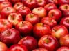 Cavendish Bananas/Fresh Gala Apples/Fresh Apricots/Fresh Avocados/Fresh Berries/Fresh Cherries/Fresh Citrus Fruit/Fresh Coconuts/Fresh Grapes/ Fresh Guava/Fresh Kiwi Fruit