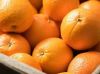 Cavendish Bananas/Fresh Gala Apples/Fresh Apricots/Fresh Avocados/Fresh Berries/Fresh Cherries/Fresh Citrus Fruit/Fresh Coconuts/Fresh Grapes/ Fresh Guava/Fresh Kiwi Fruit