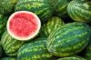  Fresh Fuji Apples/Fresh Mangos/Fresh Mangosteen/Fresh Melons/Fresh Oranges/Fresh Pineapples/Fresh Pomegranates/Fresh Water Melons/Fuji Apples/Young Coconuts/Fresh Lemons