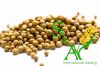 Coriander Seeds