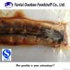 live eel/smoked eel/fr...