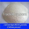 Calcium Hypochlorite (...