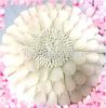 Non wove felt flower