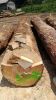 Maple logs