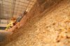 Pine/Eucalyptus Wood C...