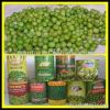 canned sweet corns/can...