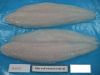 Pangasius Fillet
