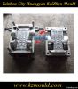 Plastic kid electric car mould, children car mould