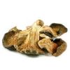 Dried Oyster Mushroom