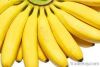 Cavendish banana