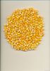  Maize | Maize Exporte...