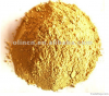 Ginger P.E. Extract