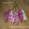 Silk &artifical flower