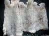 Chinese Rabbit Fur Ski...