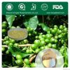 Green coffee bean extract