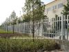 pvc coated wire mesh f...