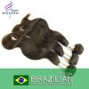 Wholesale Body wave 100% Brazilian Virgin Hair