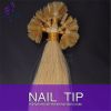 Straight High quality pre bonded u tip hair extension