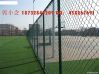 Galvanized chain link fence