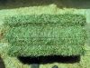 Premium Quality Alfalfa Hay Bales