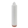 Hydrophobic PTFE Membrane Filter Cartridge Sterilizing Grade Filter for Air/Gas Filtration