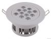 led ceiling light