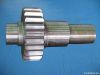 gear wheel shaft