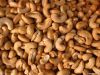 Cashew